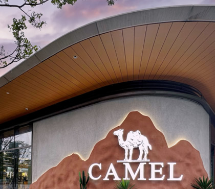 骆驼 CAMEL